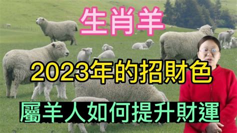 屬羊2023幸運色